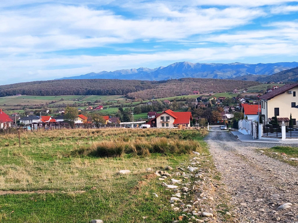 Vand Teren Tocile, 1000 mp, Intravilan