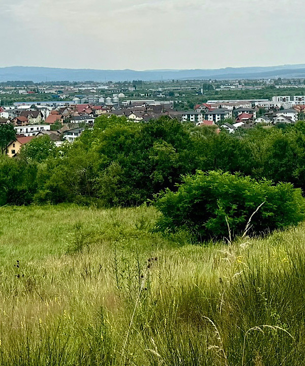 VÂNZARE CASA STR. MIRON COSTIN