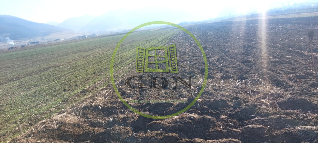 Teren cu suprafata de 1569mp, cu deschidere la drumul national in Gura Raului