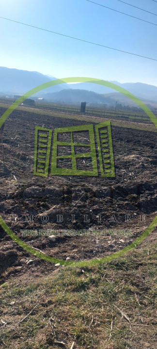 Teren cu suprafata de 1569mp, cu deschidere la drumul national in Gura Raului