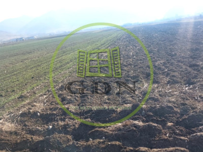 Teren cu suprafata de 1569mp, cu deschidere la drumul national in Gura Raului