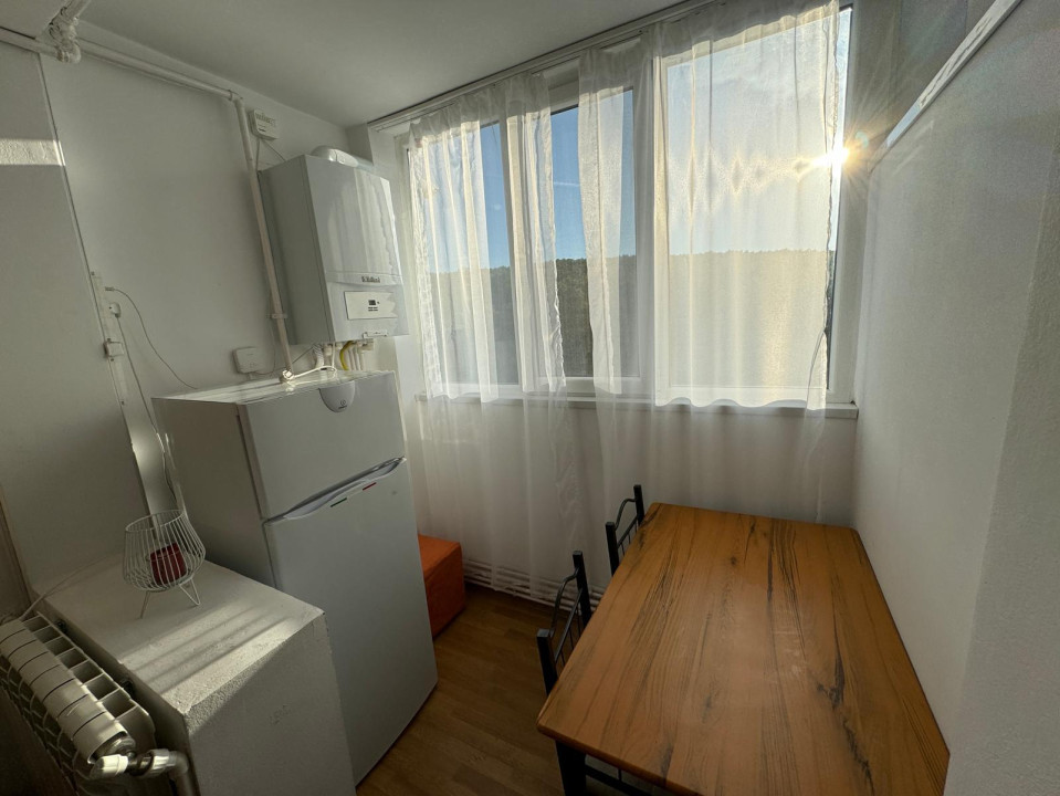  Închiriere ap. 1 cam, Mănăștur, pet friendly, 390 Eur!