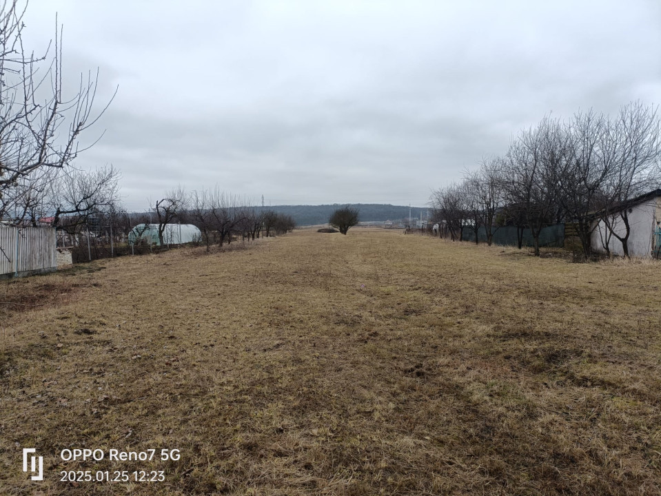 Teren de vânzare -Reghin - Iernuţeni 7000 mp  