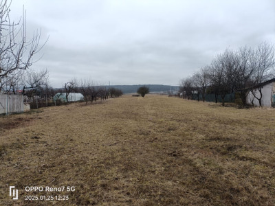 Teren de vânzare -Reghin - Iernuţeni 7000 mp  