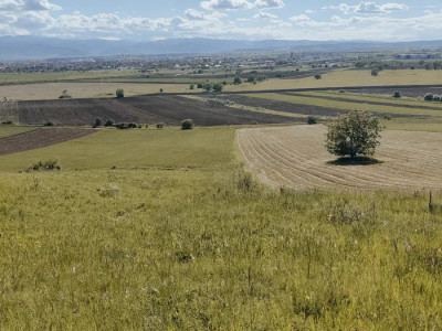 Teren extravilan de vânzare | 4600 mp | în zona Gușterița