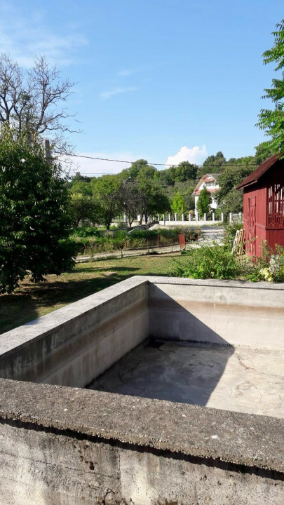 Casă cu piscină în Buciumi