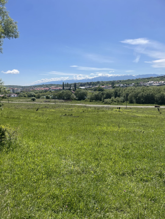 Vând Teren Intravilan, Cisnădie, 5600 mp