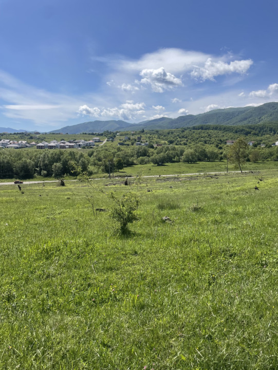 Vând Teren Intravilan, Cisnădie, 5600 mp