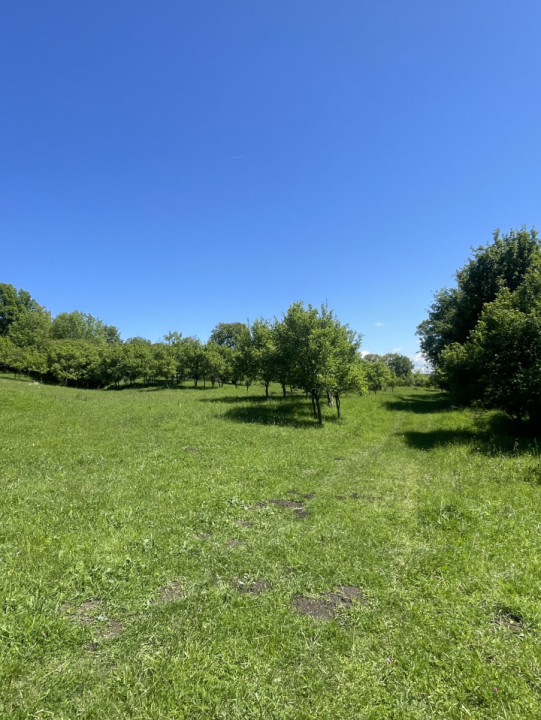 Vând Teren Intravilan, Cisnădie, 5600 mp