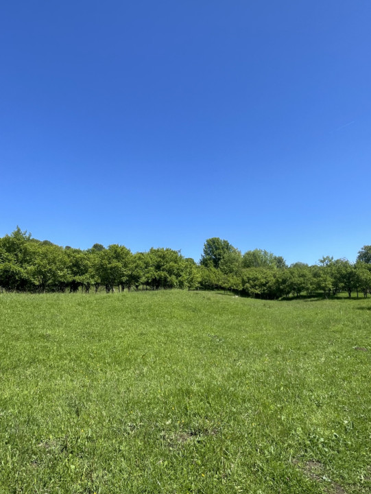 Vând Teren Intravilan, Cisnădie, 5600 mp