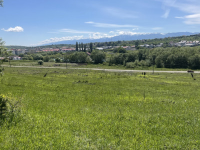 Vând Teren Intravilan, Cisnădie, 5600 mp