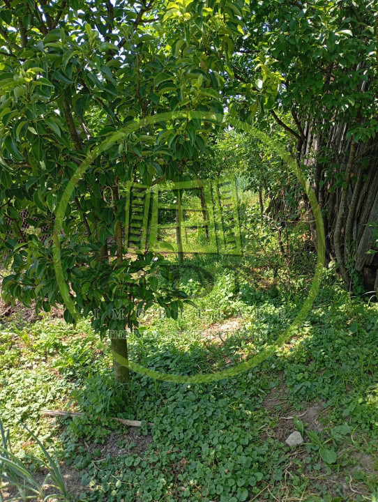 🏡 Casă de vânzare în Săcel – 2 corpuri locuibile, 3 băi, grădină, teren generos