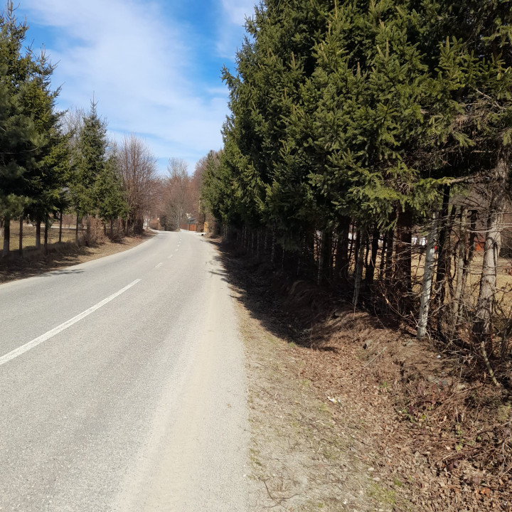 Teren extravilan de vânzare | 1000 mp | - Valea Avrigului 