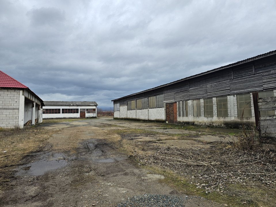 Hale industriale + teren intravilan, suprafață 7.274 mp, Grădinari