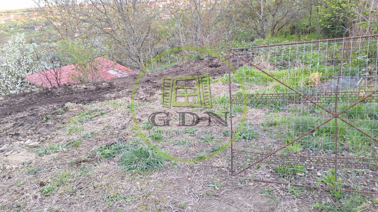 Teren intravilan - 1000 mp - Daia Noua