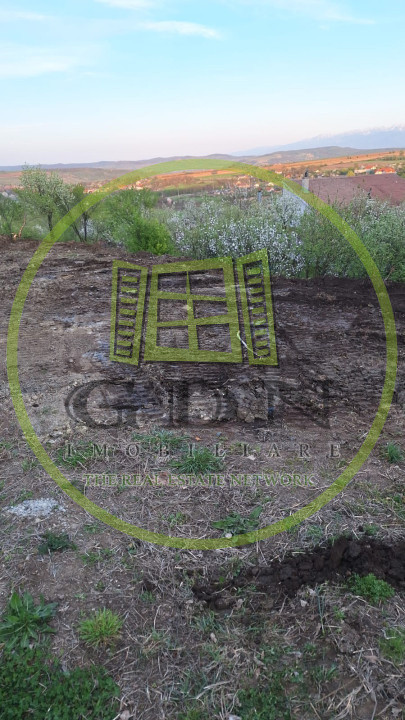 Teren intravilan - 1000 mp - Daia Noua