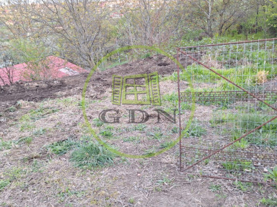 Teren intravilan - 1000 mp - Daia Noua