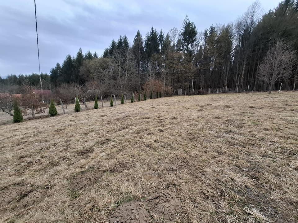 Teren intravilan | 1000 mp | de vânzare- Tocile, Sadu