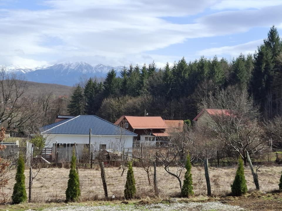Teren intravilan | 1000 mp | de vânzare- Tocile, Sadu