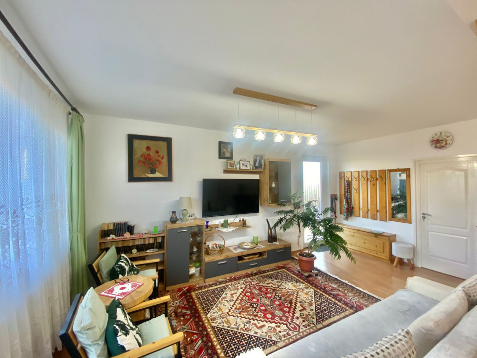 2 Case in regim P+M cu 9 camere, 3 băi, teren 1811mp, front 30m, Paleu