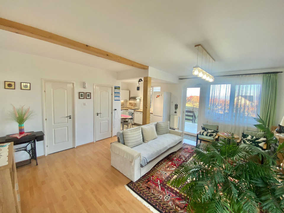 2 Case in regim P+M cu 9 camere, 3 băi, teren 1811mp, front 30m, Paleu