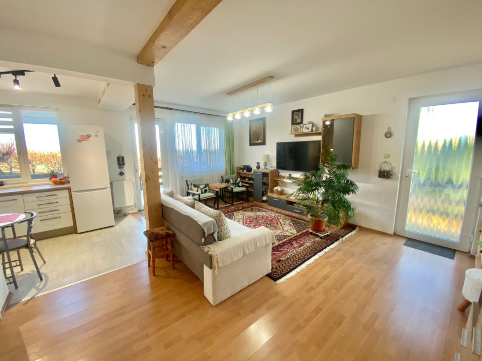 2 Case in regim P+M cu 9 camere, 3 băi, teren 1811mp, front 30m, Paleu