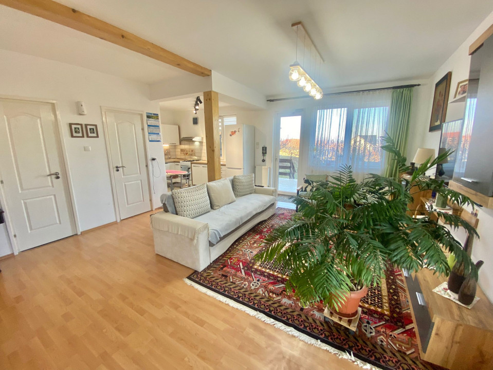 2 Case in regim P+M cu 9 camere, 3 băi, teren 1811mp, front 30m, Paleu