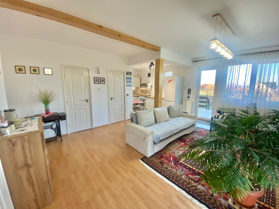 2 Case in regim P+M cu 9 camere, 3 băi, teren 1811mp, front 30m, Paleu