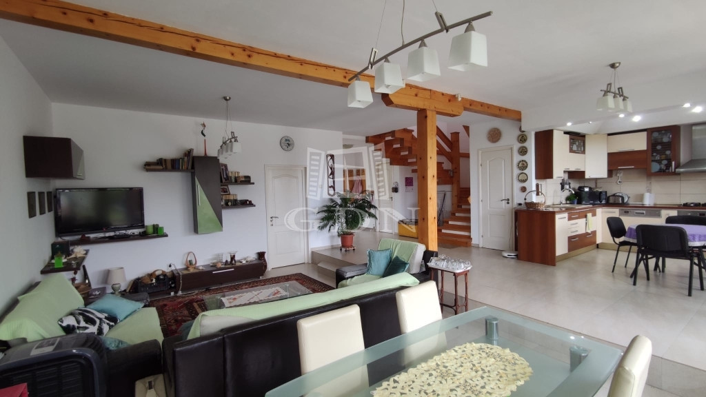 2 Case in regim P+M cu 9 camere, 3 băi, teren 1811mp, front 30m, Paleu