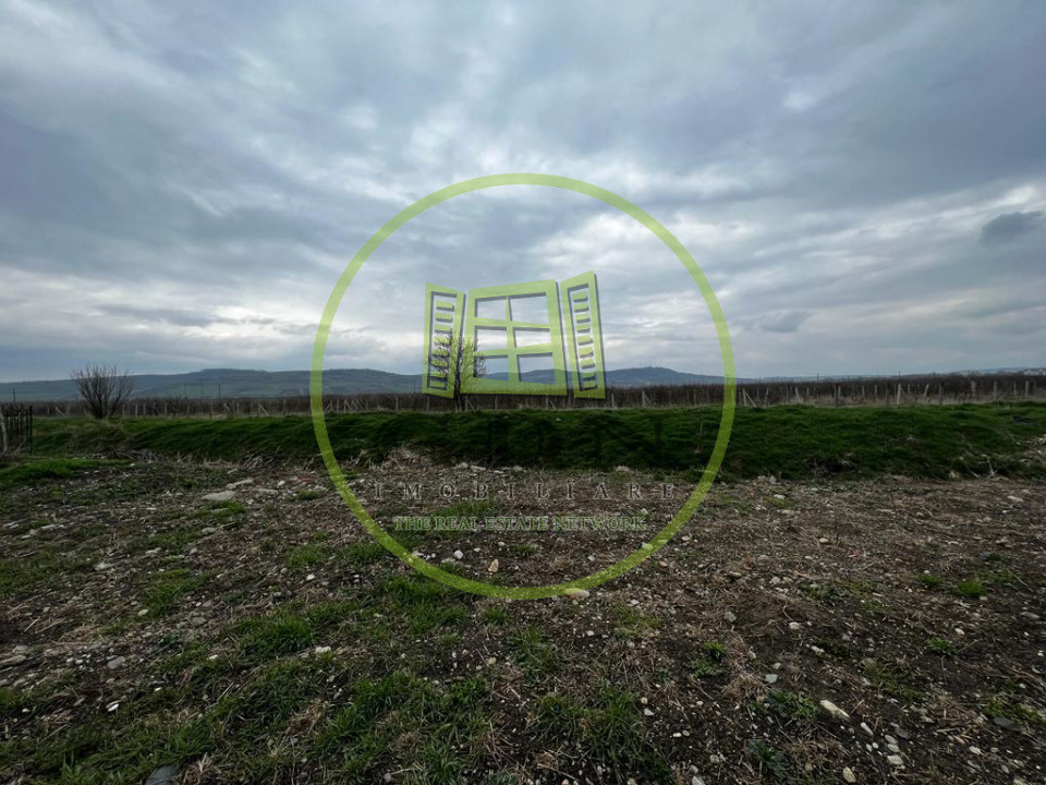 Teren Intravilan 1900mp, Zona D Targul Obor