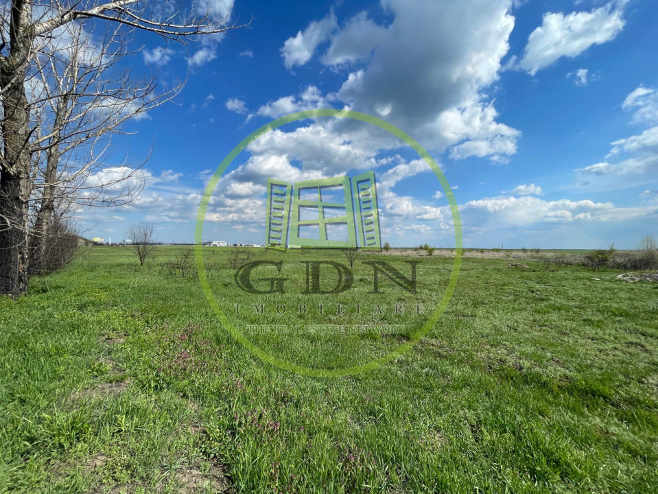 Teren intravilan 10013mp Pielești DN65