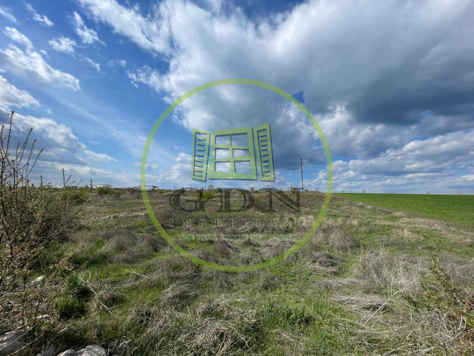 Teren intravilan 10013mp Pielești DN65