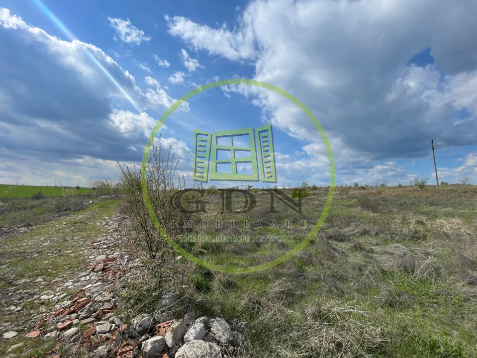 Teren intravilan 10013mp Pielești DN65