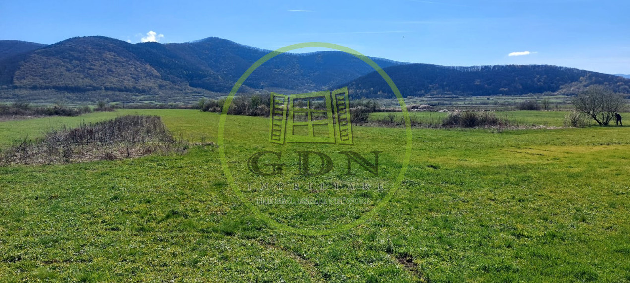 Teren  2250mp extravilan ,spre vanzare - Poplaca