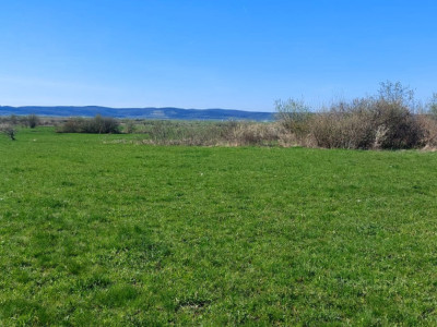 Teren  2250mp extravilan ,spre vanzare - Poplaca
