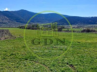 Teren  oportunitate-2250  mp ,spre vanzare - Poplaca