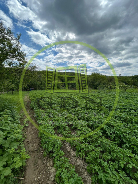 Casa individuala, 6 camere | 2109 mp teren |, localitatea Rusi, judetul Sibiu