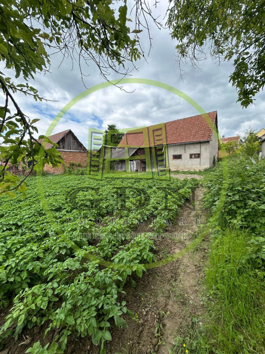 Casa individuala, 6 camere | 2109 mp teren |, localitatea Rusi, judetul Sibiu