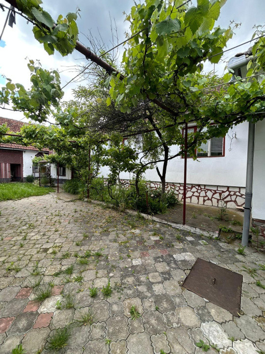 Casa individuala, 6 camere | 2109 mp teren |, localitatea Rusi, judetul Sibiu