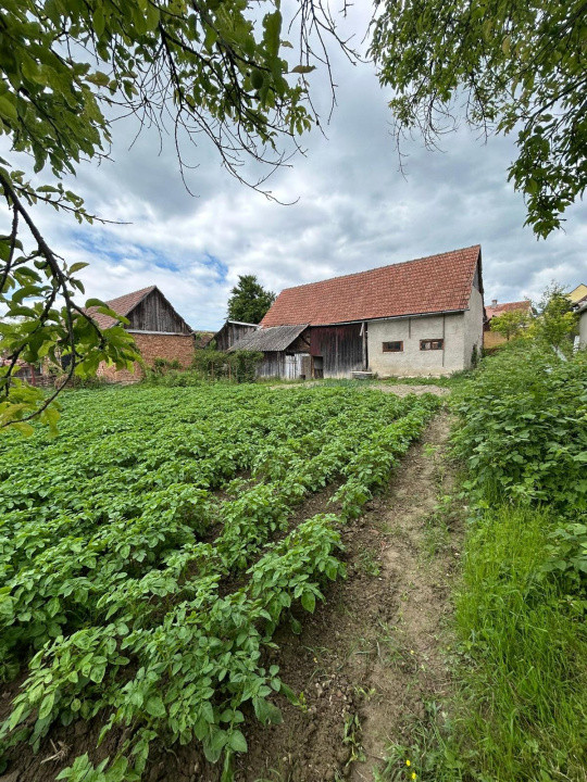 Casa individuala, 6 camere | 2109 mp teren |, localitatea Rusi, judetul Sibiu