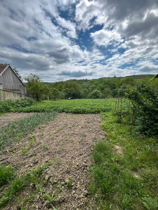 Casa individuala, 6 camere | 2109 mp teren |, localitatea Rusi, judetul Sibiu