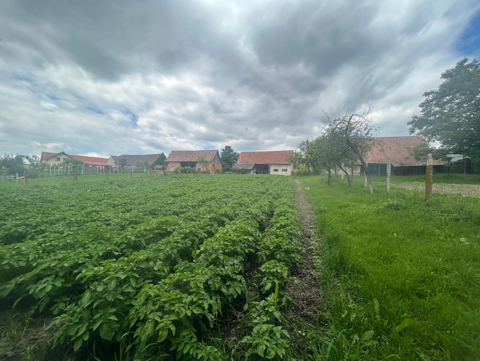 Casa individuala, 6 camere | 2109 mp teren |, localitatea Rusi, judetul Sibiu