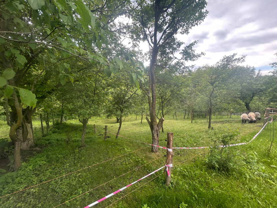 Casa individuala, 6 camere | 2109 mp teren |, localitatea Rusi, judetul Sibiu