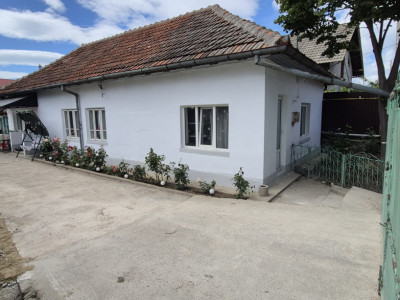 Casa parter recent renovată 116mp utili și 478mp teren pe strada Brestei