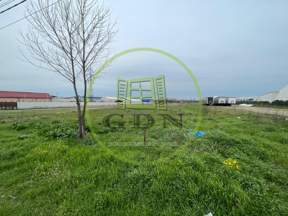 Teren intravilan 1454mp situat în Albești, în proximitatea centurii de nord 