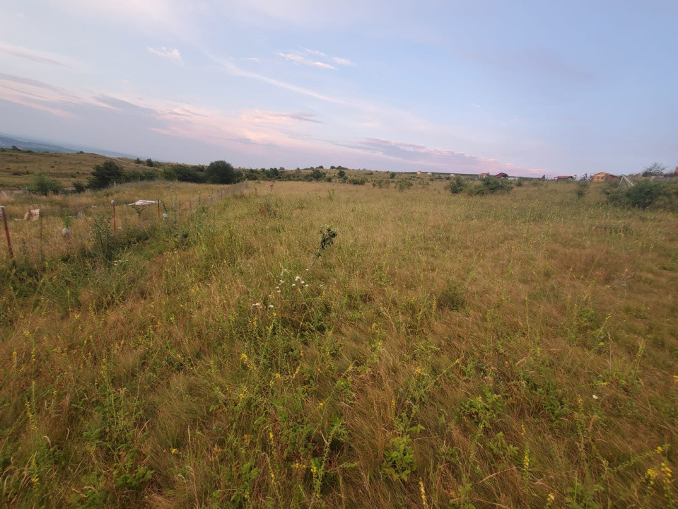 De vânzare teren agricol, intravilan, 584 mp., Chinteni, 13000 euro
