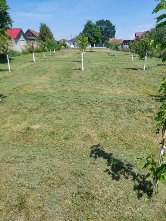 Casa individuala, Sacel |2210 mp |, judetul Sibiu