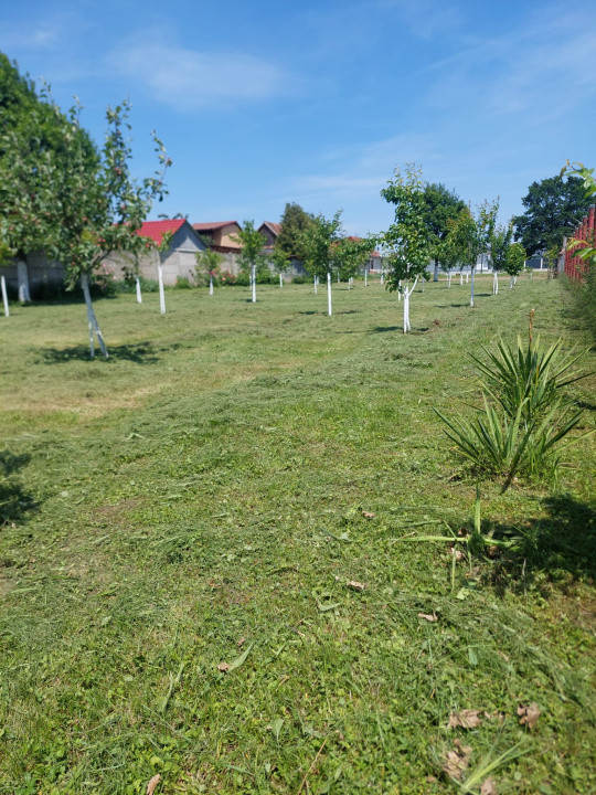 Casa individuala, Sacel |2210 mp |, judetul Sibiu