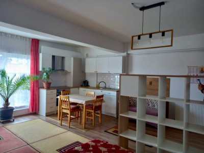 Apartament tip studio spațios