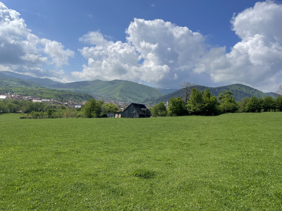 Teren Intravilan ,2386 mp, oportunitate de investiție 